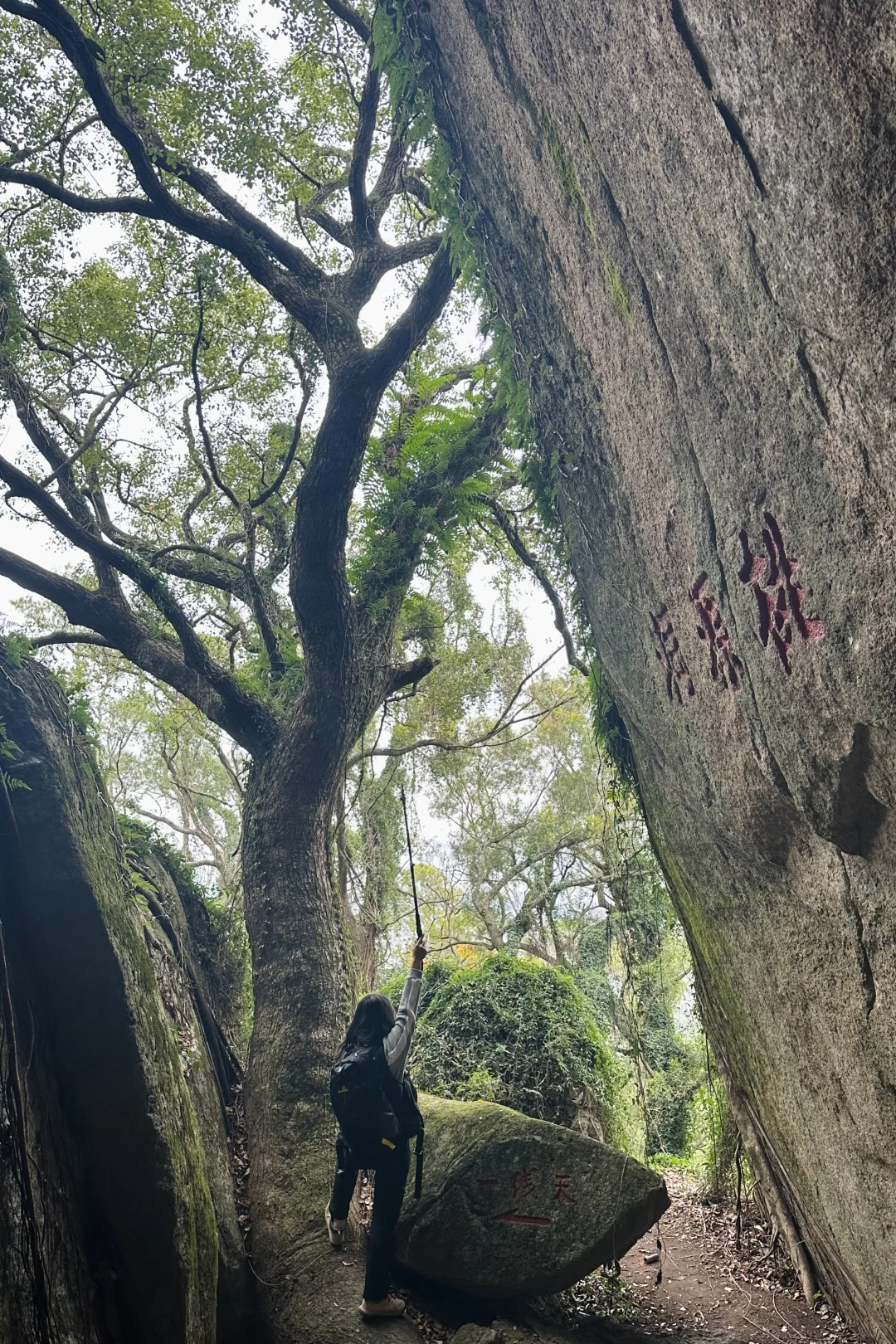 福州周边亲子趣味性最浓的一座山，冲！