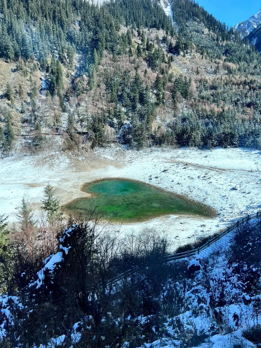 12.6📍已回九寨沟,看看现状,崩溃了😭