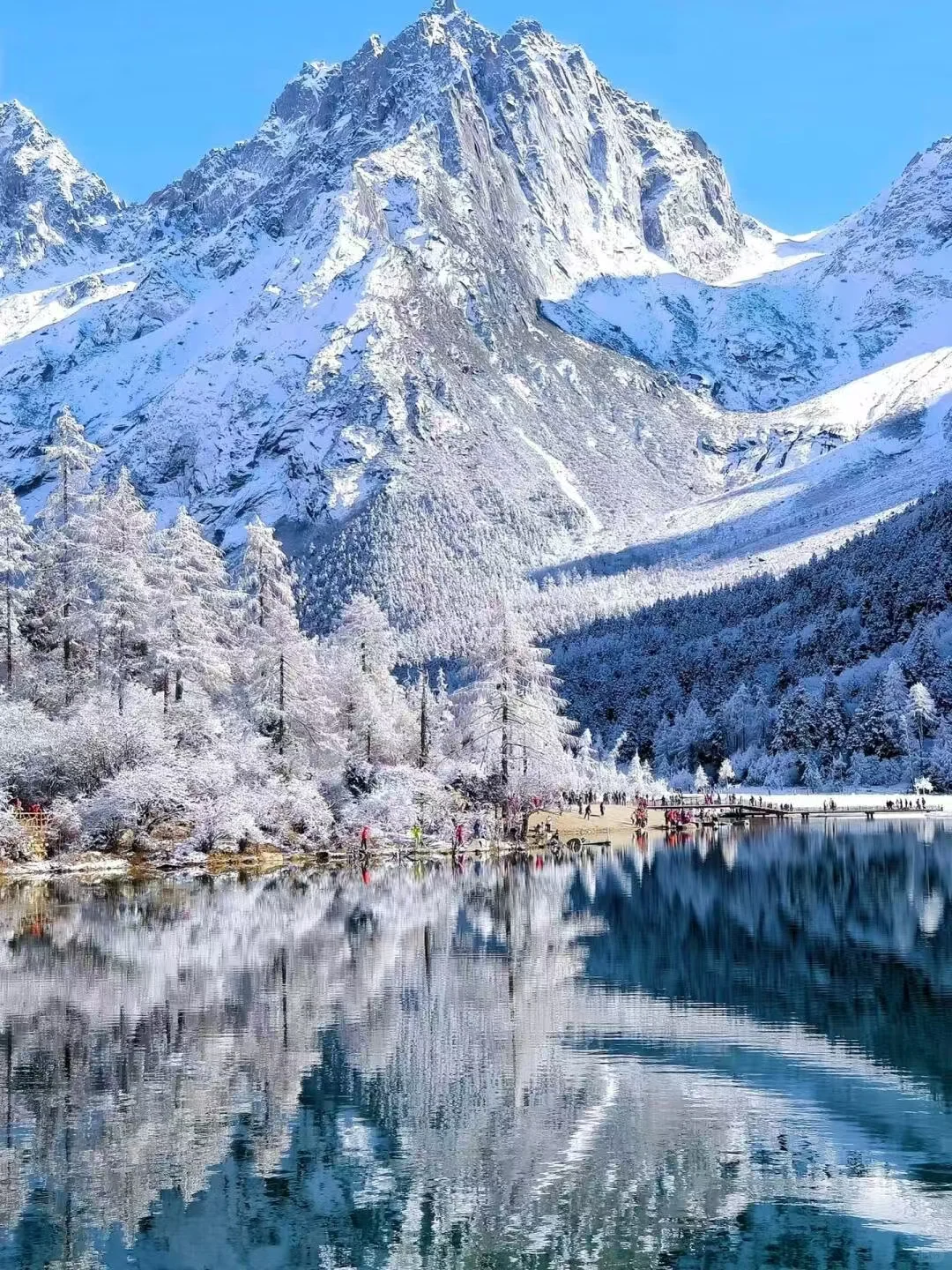 冬天要来新疆的小伙伴们 给些意见❗❗