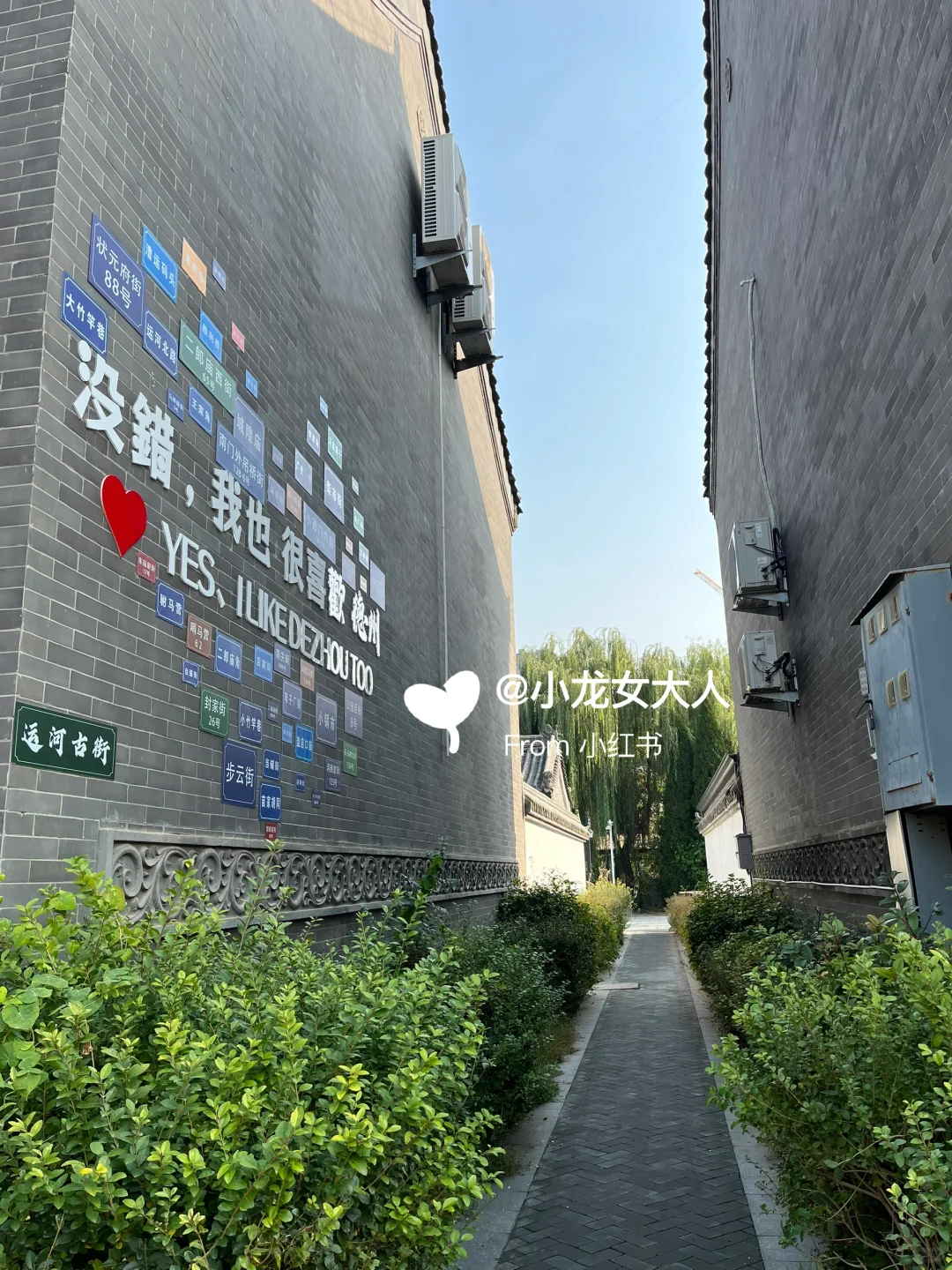 山东德州｜古运河景区｜拍照机位大全📷快收藏