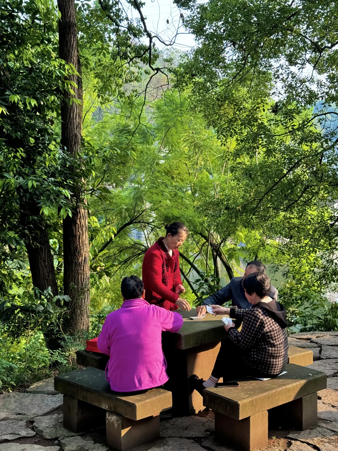 重庆华岩寺 喝茶 抄经 斋饭 赏秋 太全面了