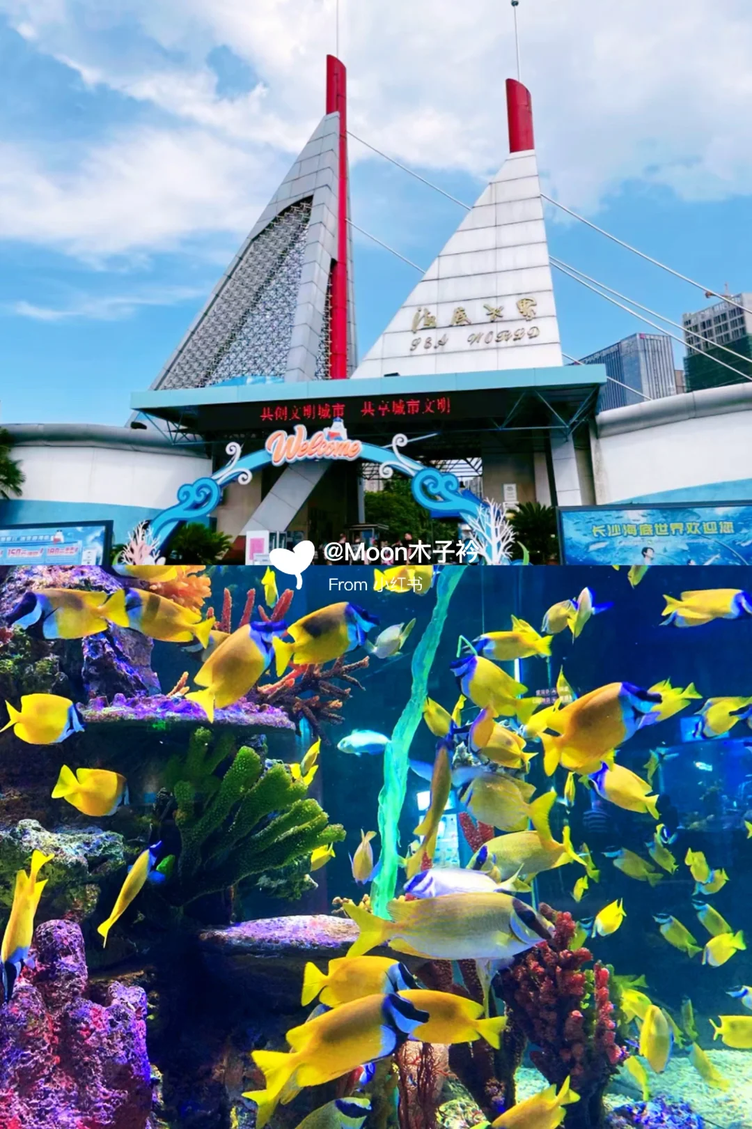 📍湖南旅游｜长沙最值得去的八个景点‼️