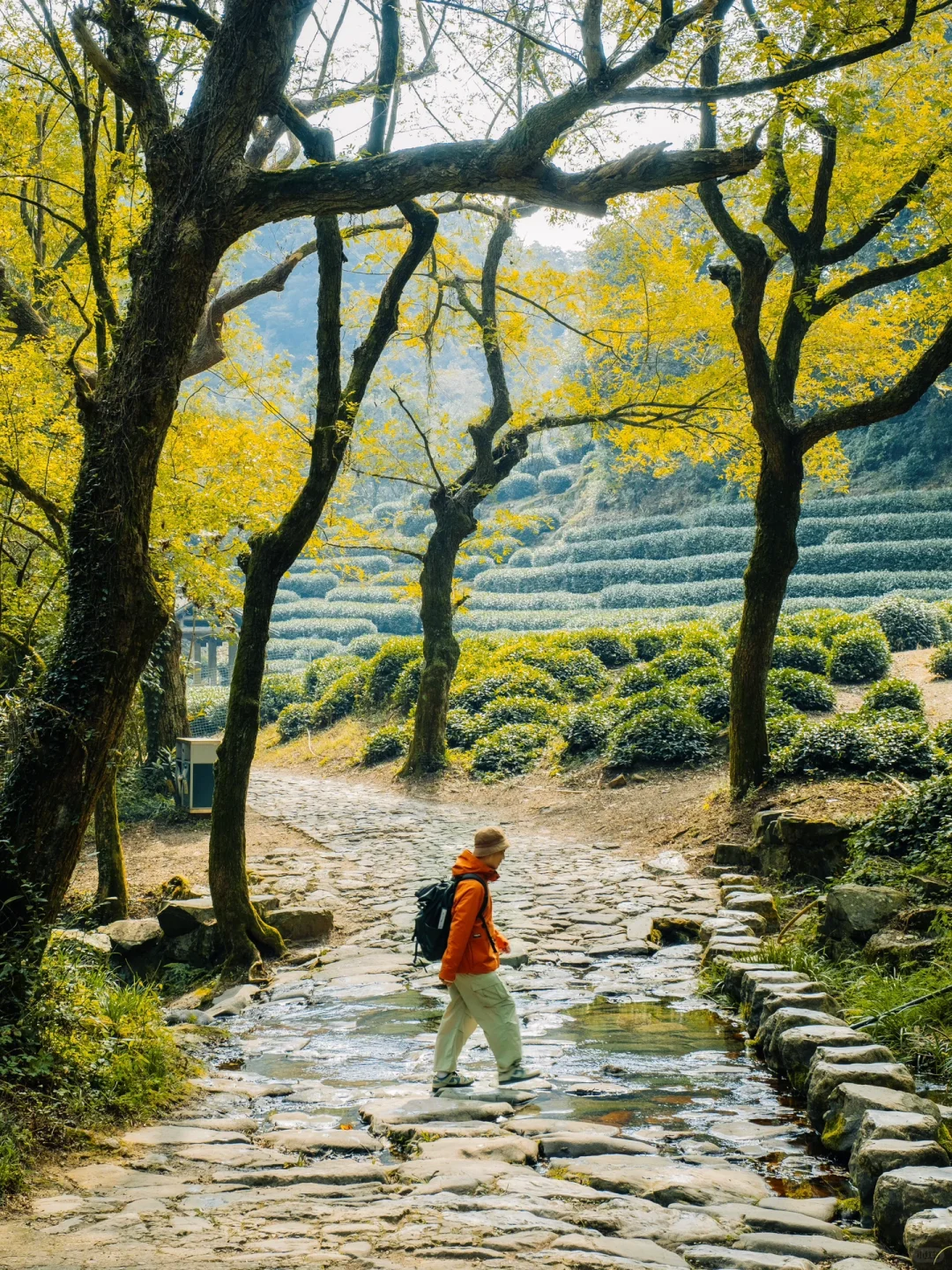 为了这8组照片,我特意飞了趟杭州,值得吗❓