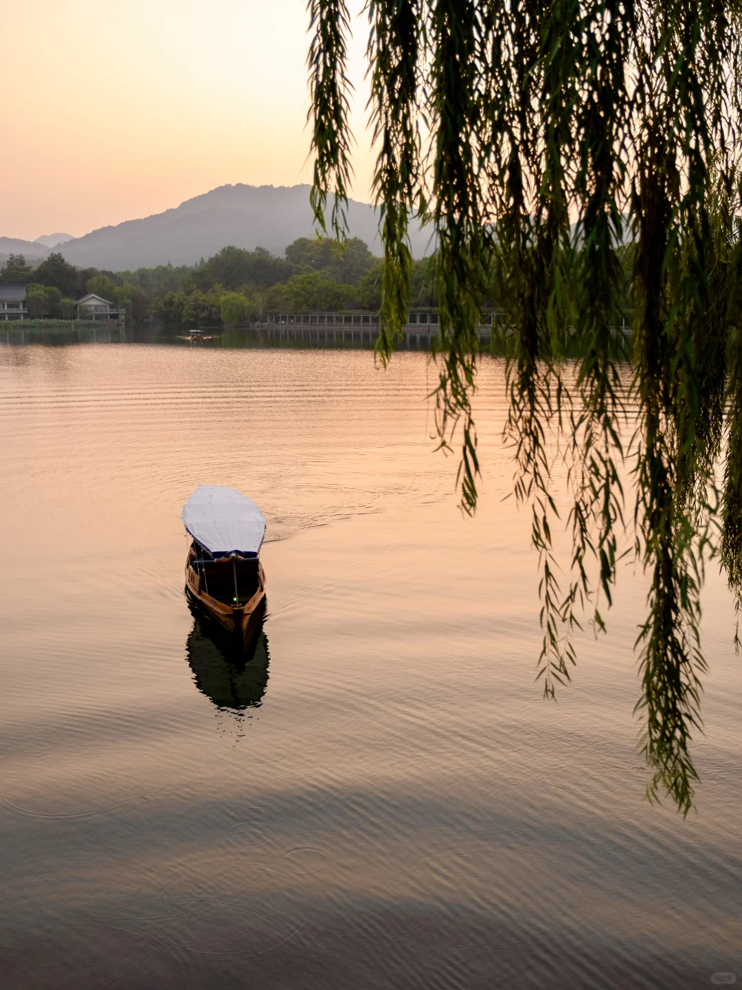 为了这8组照片,我特意飞了趟杭州,值得吗❓