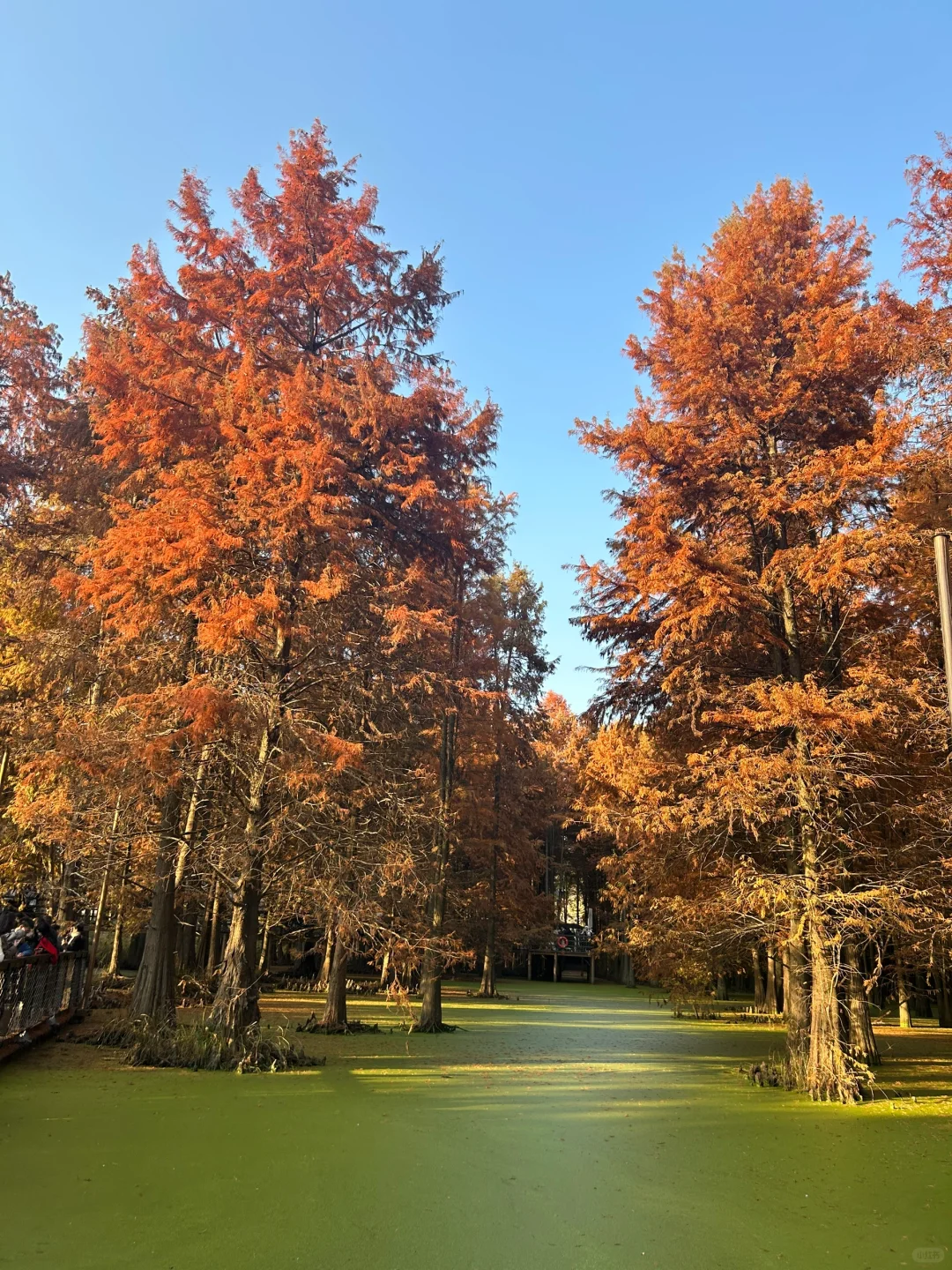 青山湖，原相机就能出片