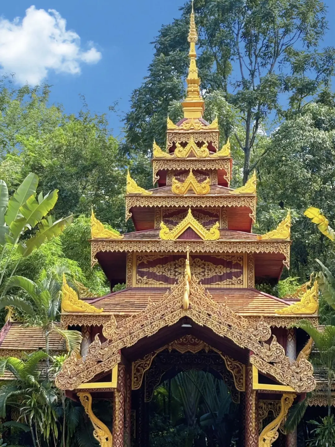 码住这份西双版纳各景点攻略！！