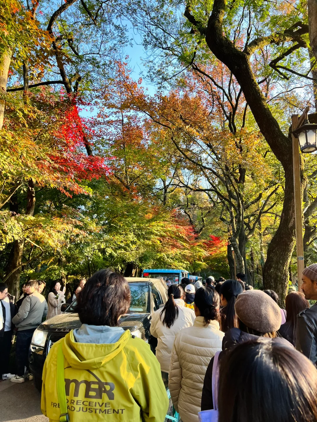 吐槽！九溪烟树的混乱实在配不上它的美！