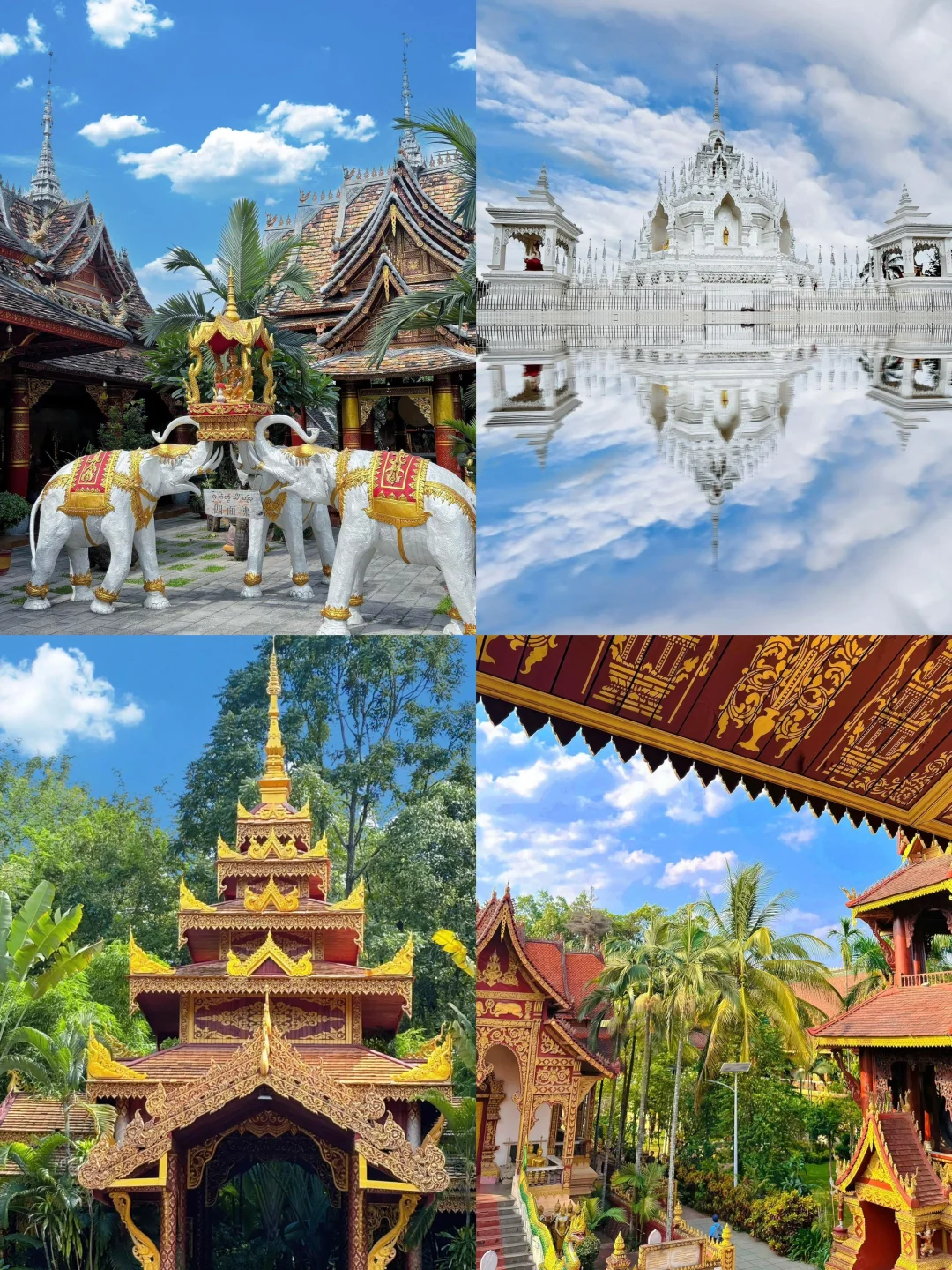 码住这份西双版纳各景点攻略！！