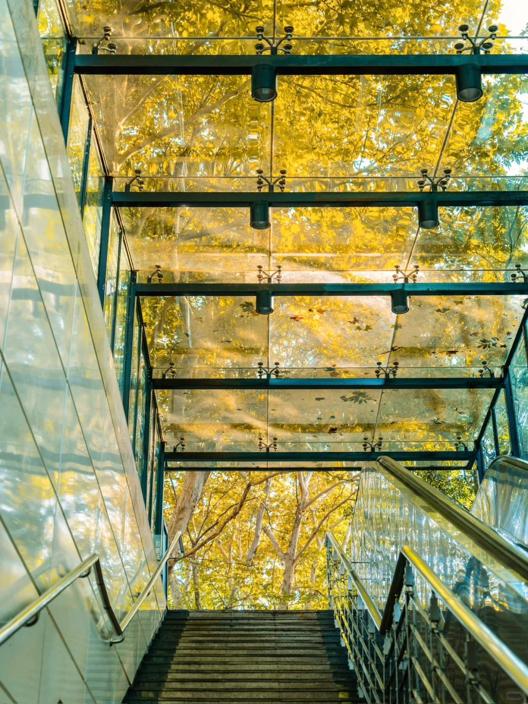 为了这8组照片,我特意飞了趟杭州,值得吗❓