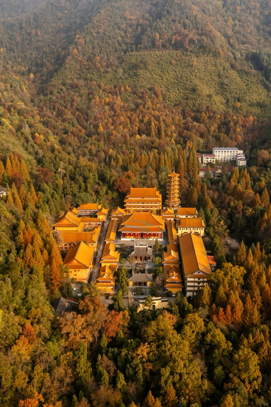 杭州一小时，99%人没去过的秋日古刹🍂