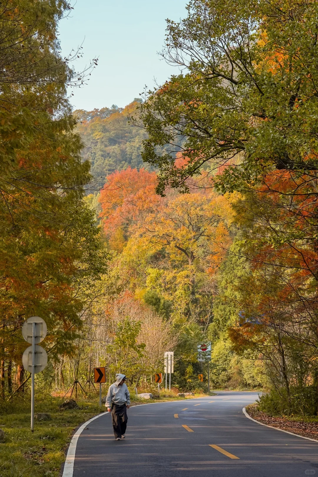 杭州一小时，99%人没去过的秋日古刹🍂