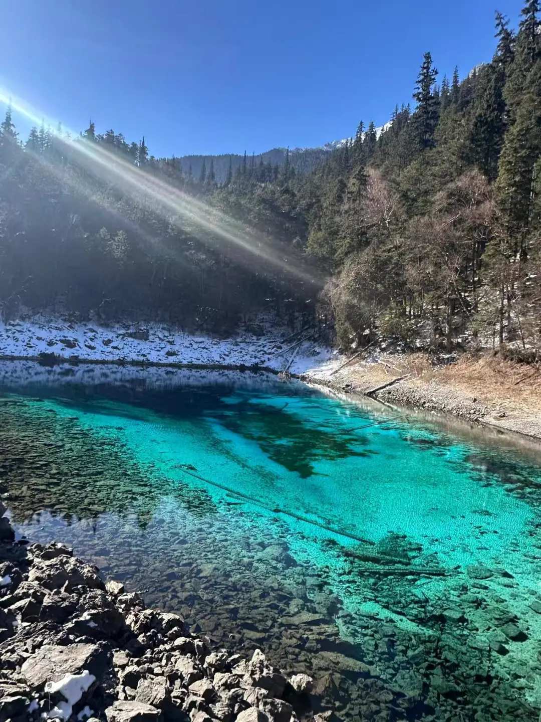 12.6📍已回九寨沟,看看现状,崩溃了😭