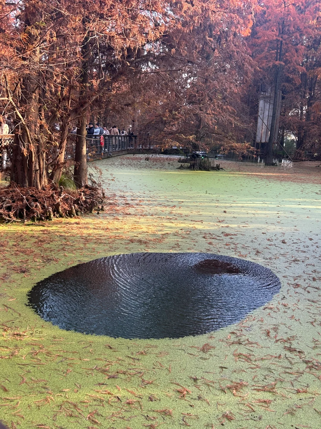 青山湖，原相机就能出片