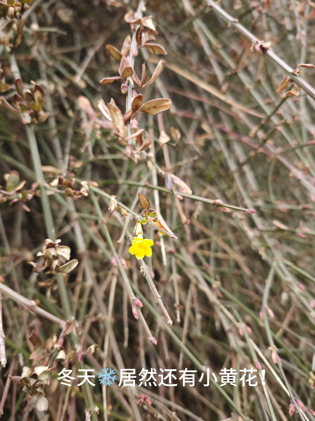 炳灵寺石窟绝对5A级景区！好👍！好！好！