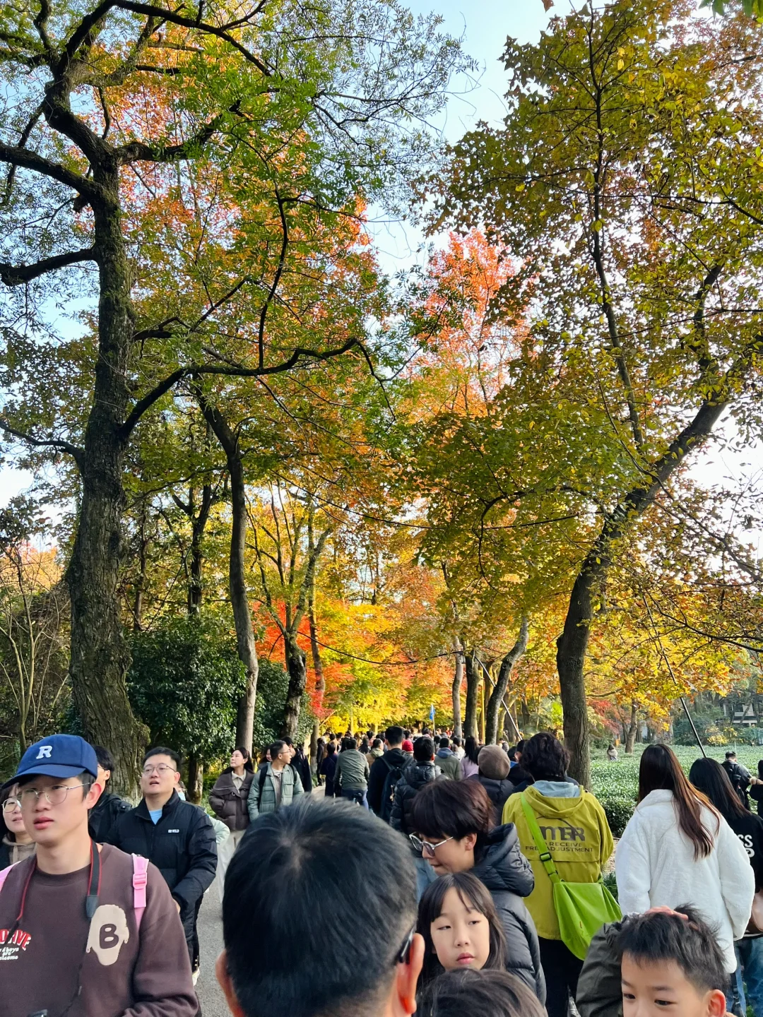 吐槽！九溪烟树的混乱实在配不上它的美！