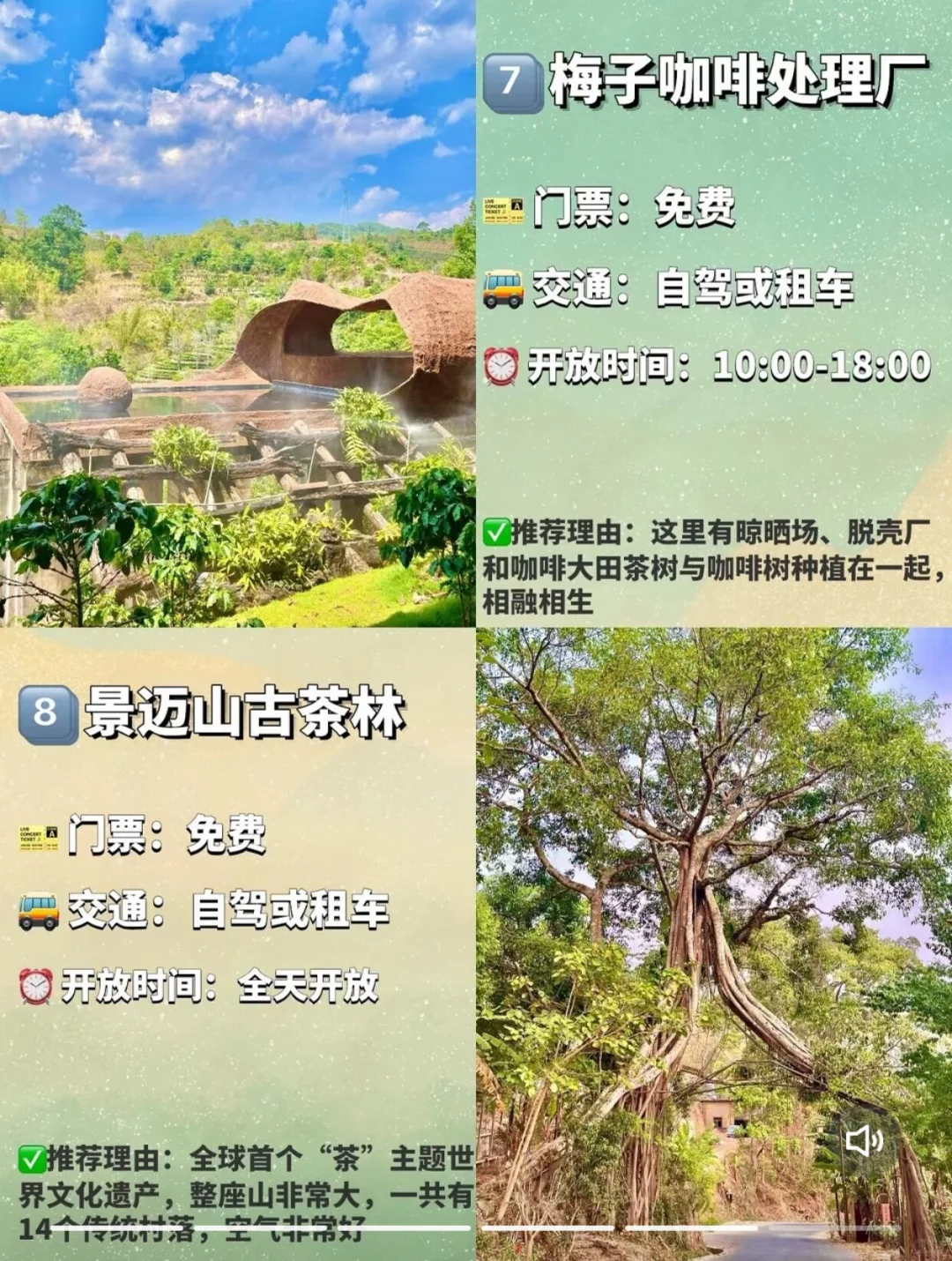 普洱必去的九大景点❗