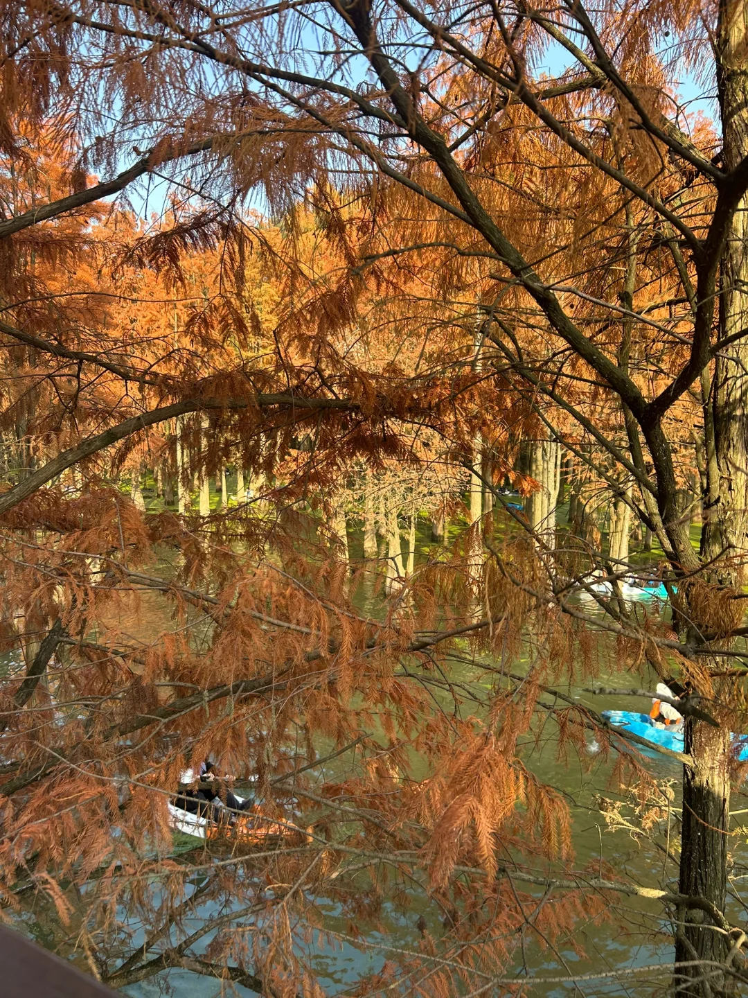 青山湖，原相机就能出片