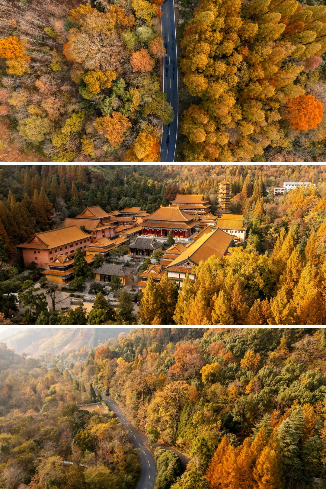 杭州一小时，99%人没去过的秋日古刹🍂