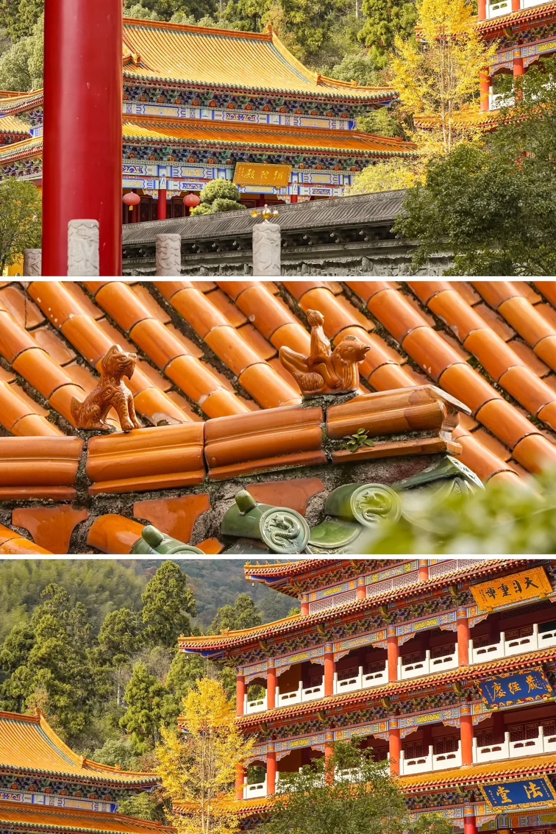 杭州一小时，99%人没去过的秋日古刹🍂