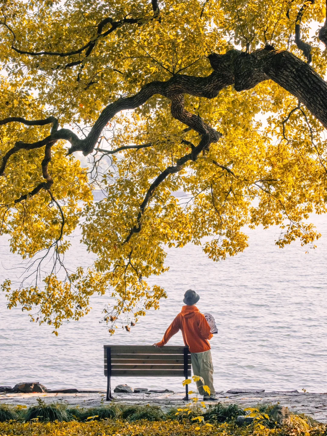 为了这8组照片,我特意飞了趟杭州,值得吗❓