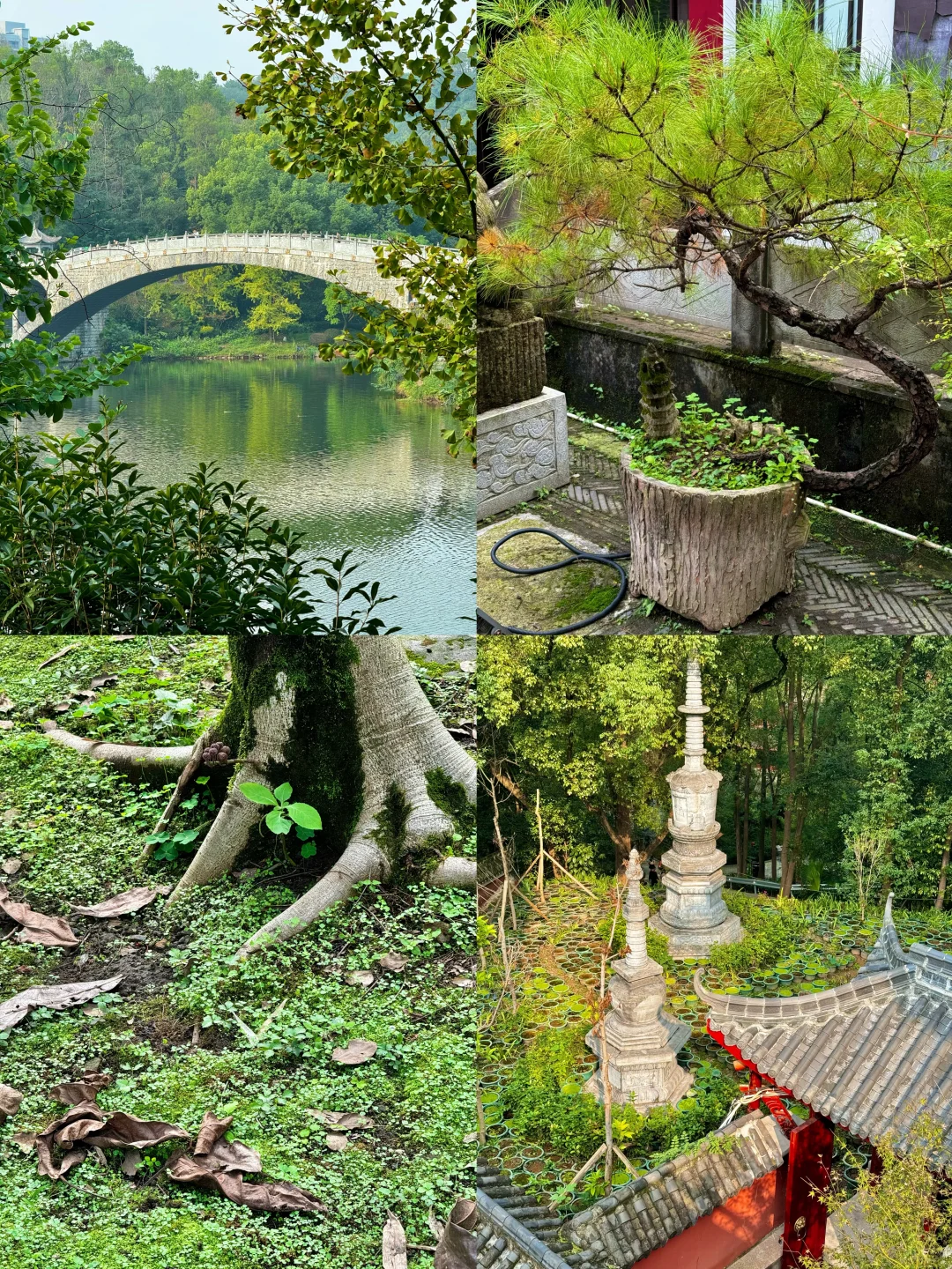 重庆华岩寺 喝茶 抄经 斋饭 赏秋 太全面了