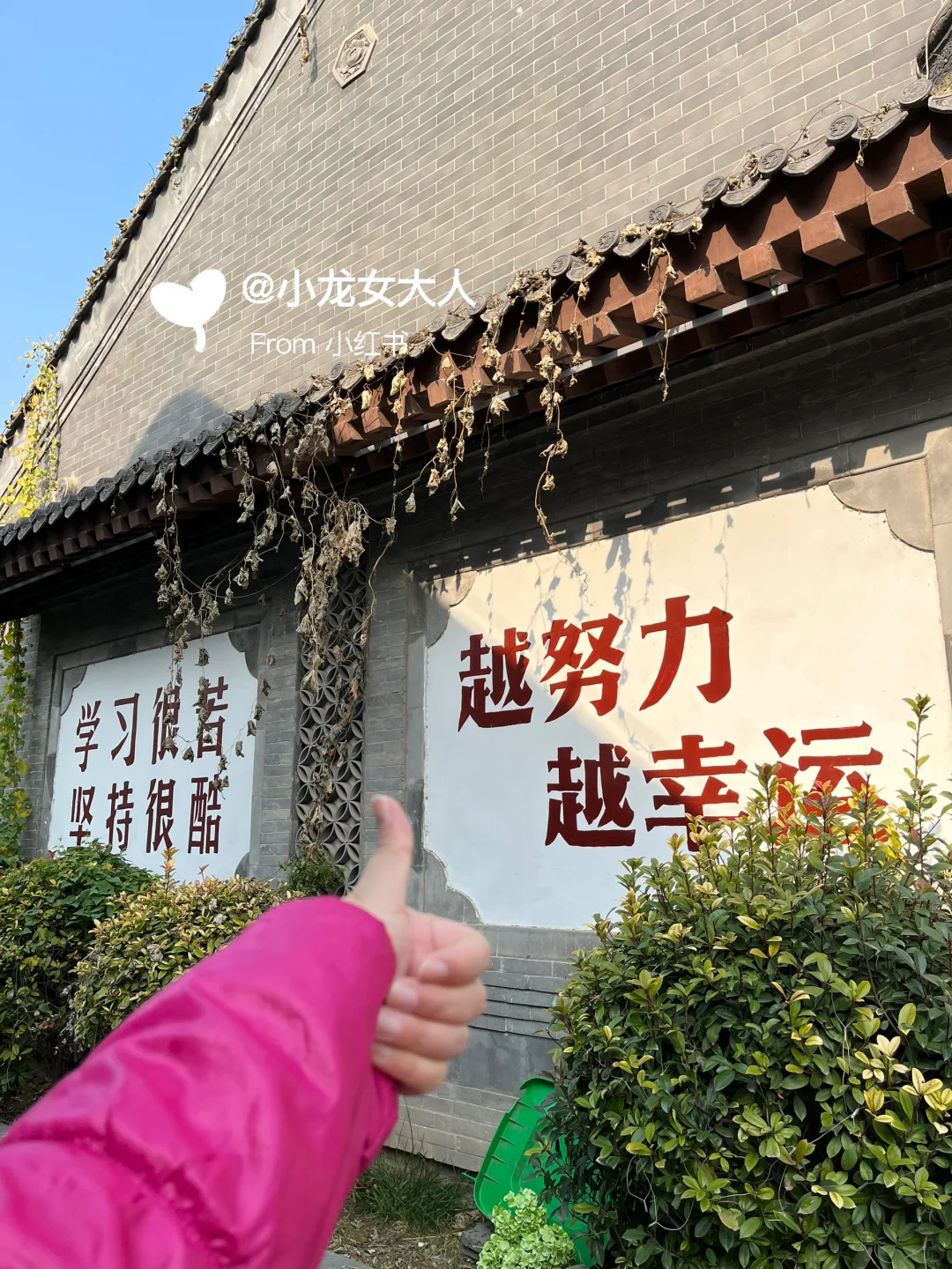 山东德州｜古运河景区｜拍照机位大全📷快收藏