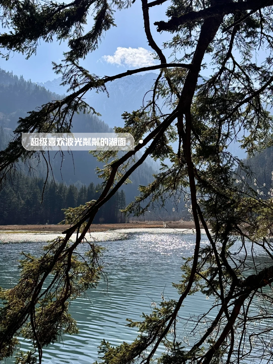 九寨沟｜两天一夜攻略（成都🚄出发