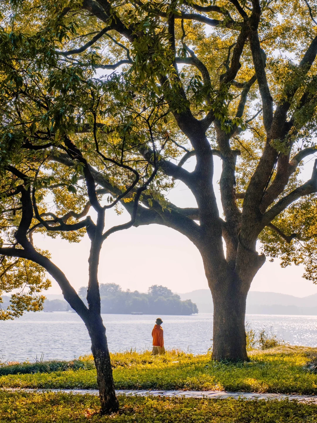 为了这8组照片,我特意飞了趟杭州,值得吗❓