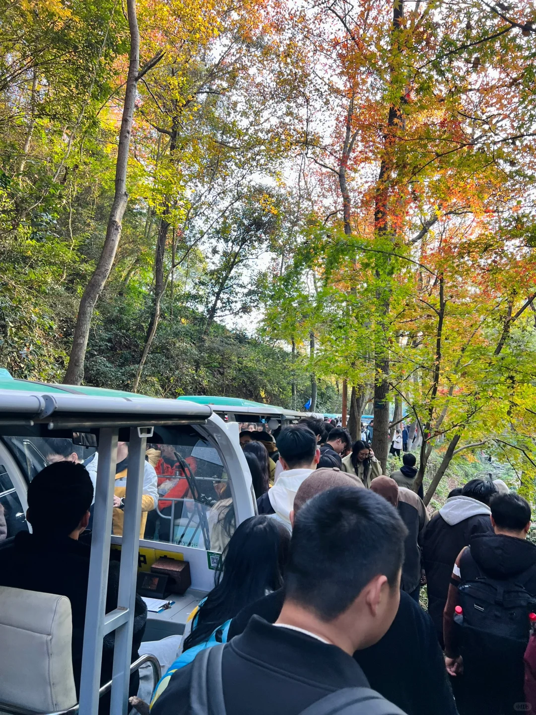 吐槽！九溪烟树的混乱实在配不上它的美！