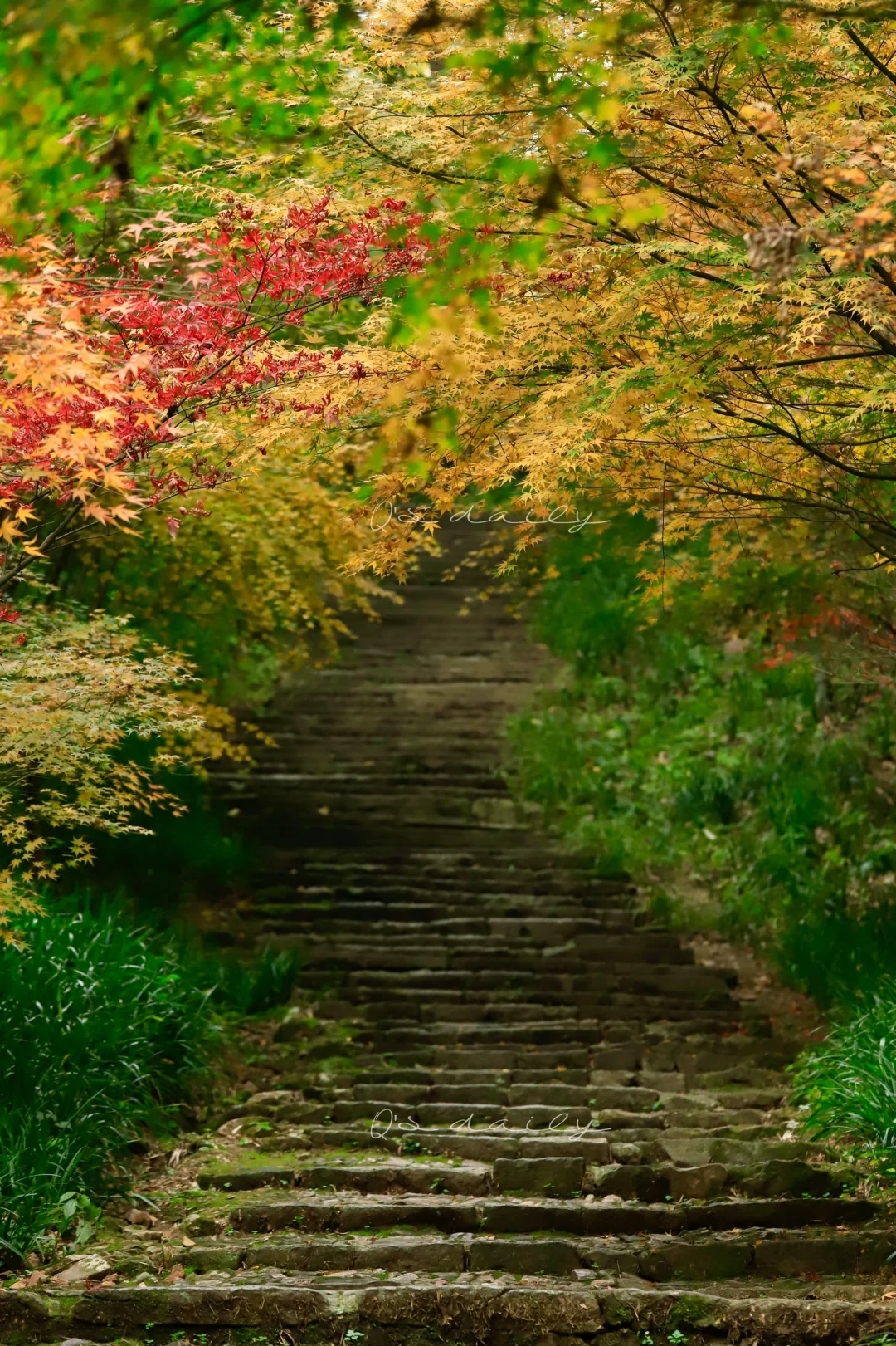 去往上天竺的神秘绝美之路