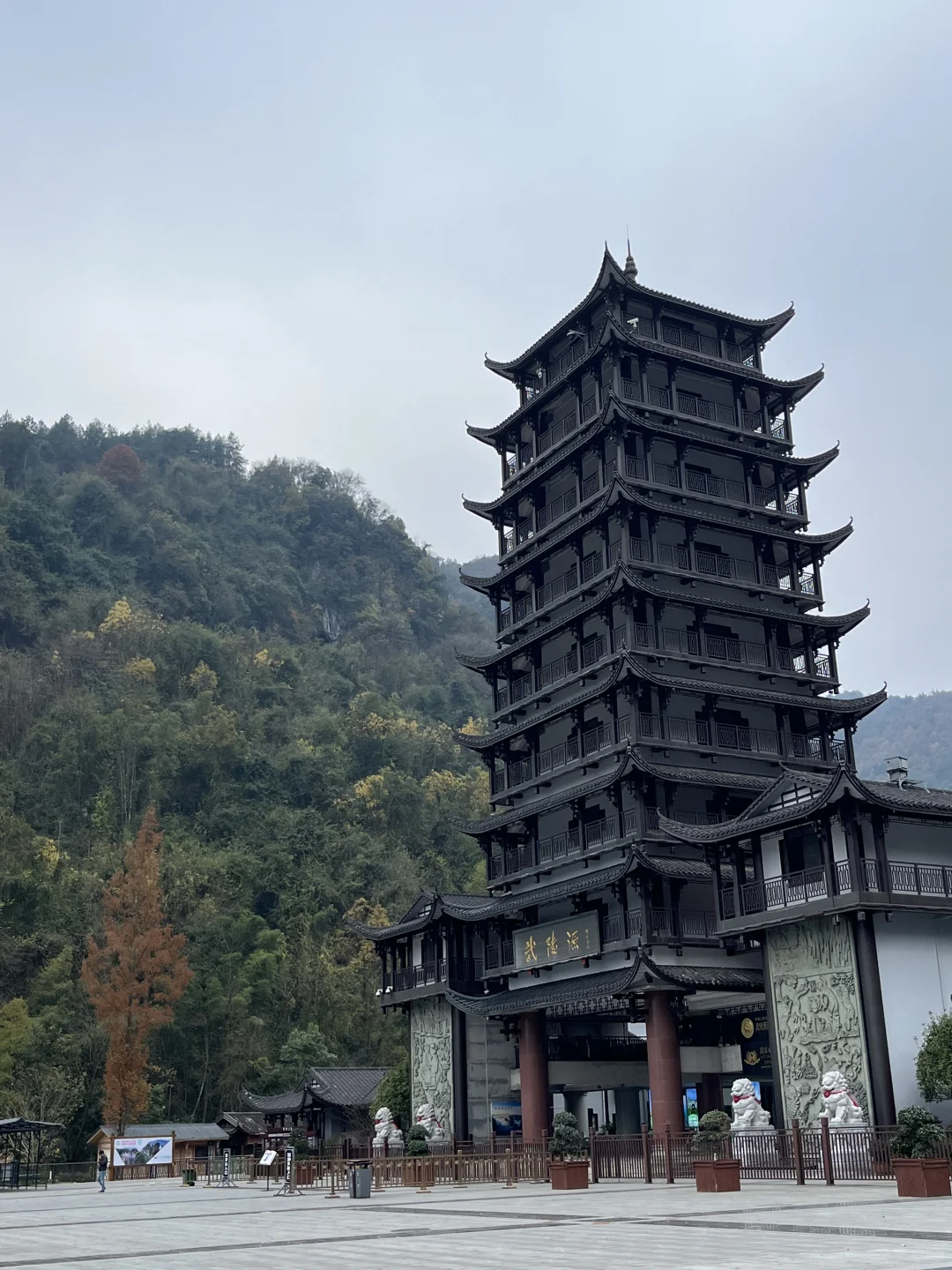 来张家界看世界