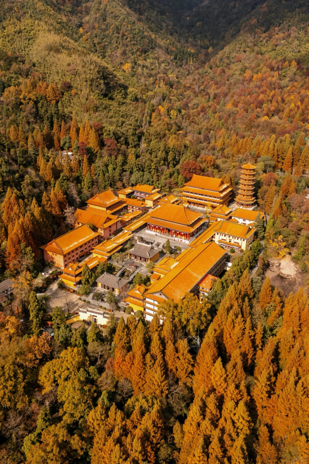 杭州一小时，99%人没去过的秋日古刹🍂