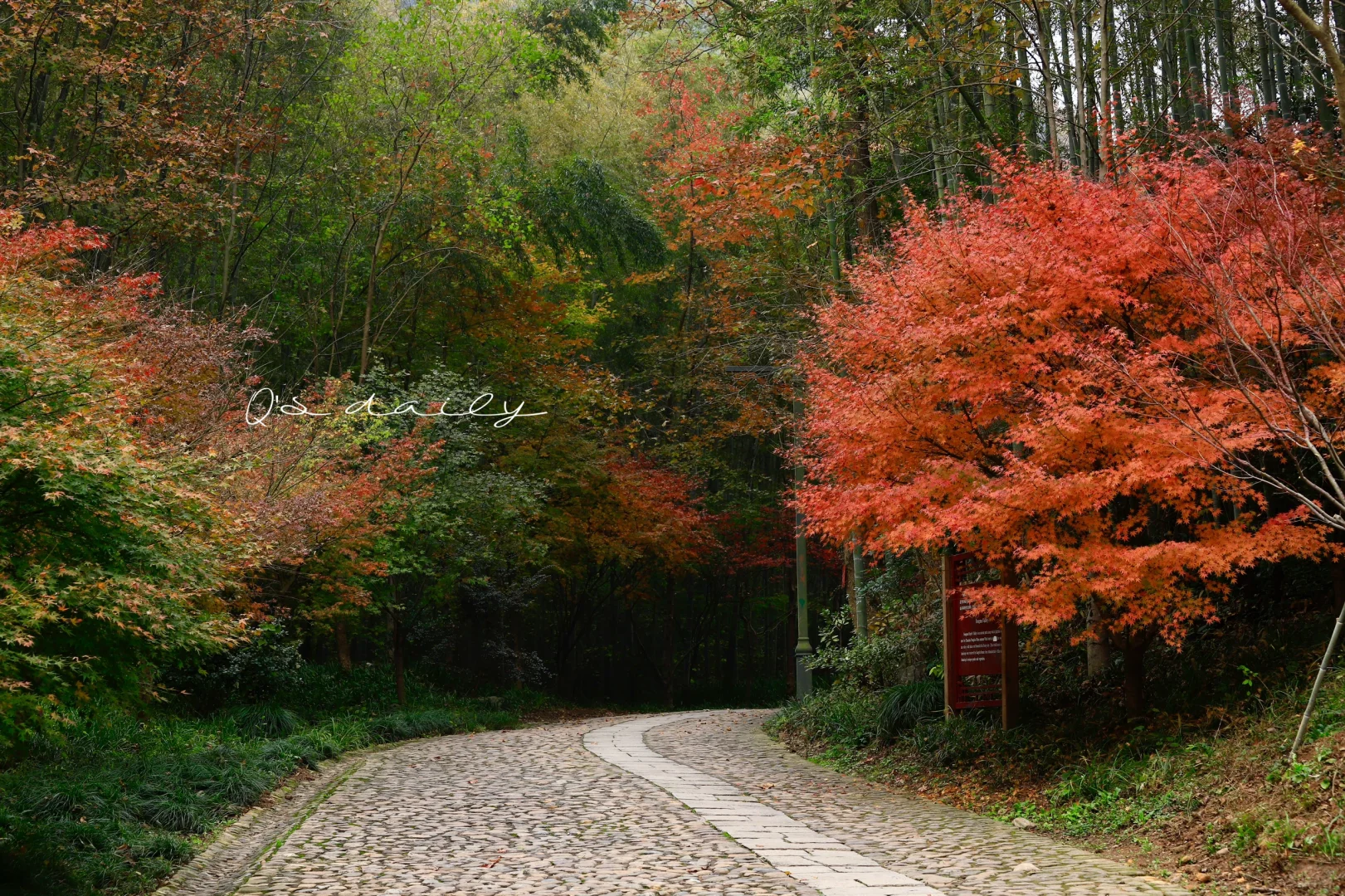 去往上天竺的神秘绝美之路