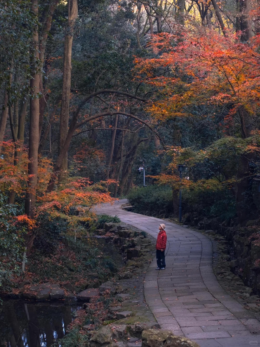 为了这8组照片,我特意飞了趟杭州,值得吗❓