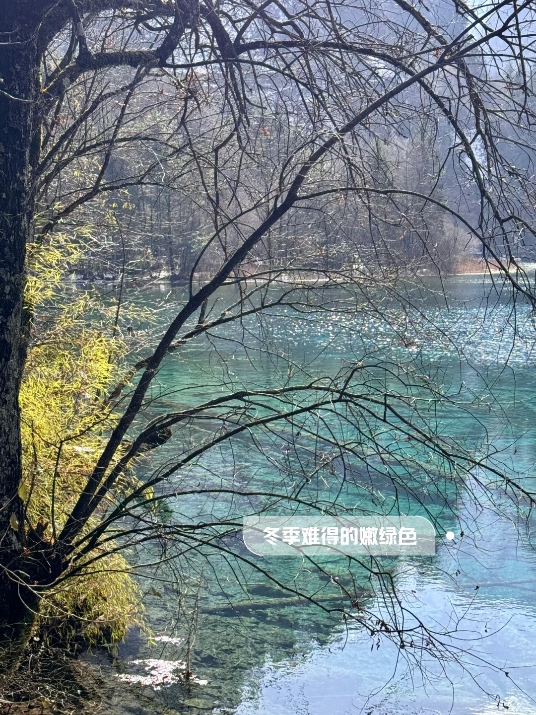 九寨沟｜两天一夜攻略（成都🚄出发