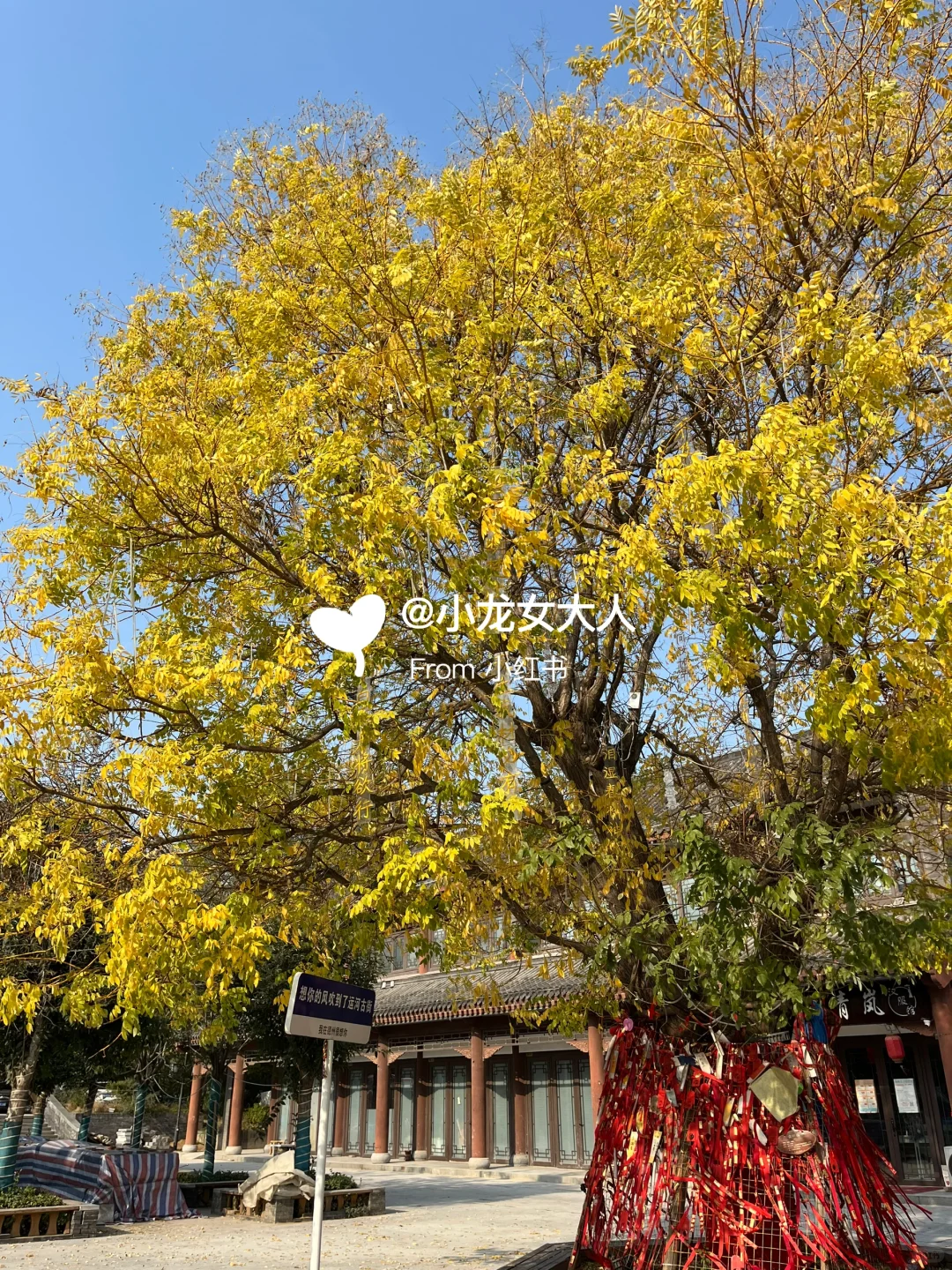 山东德州｜古运河景区｜拍照机位大全📷快收藏