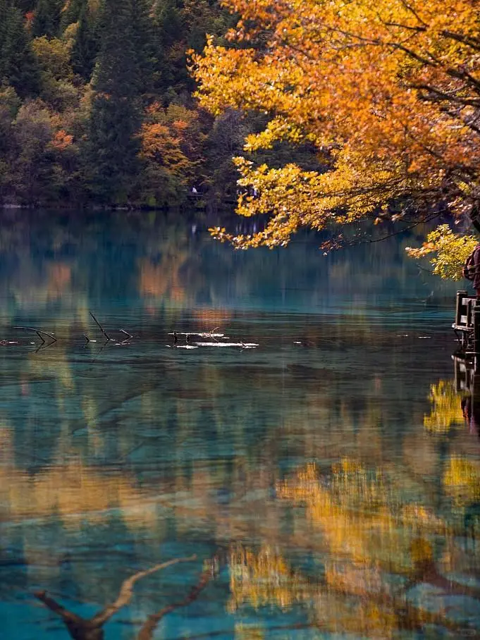 接下来的九寨，是这样的
