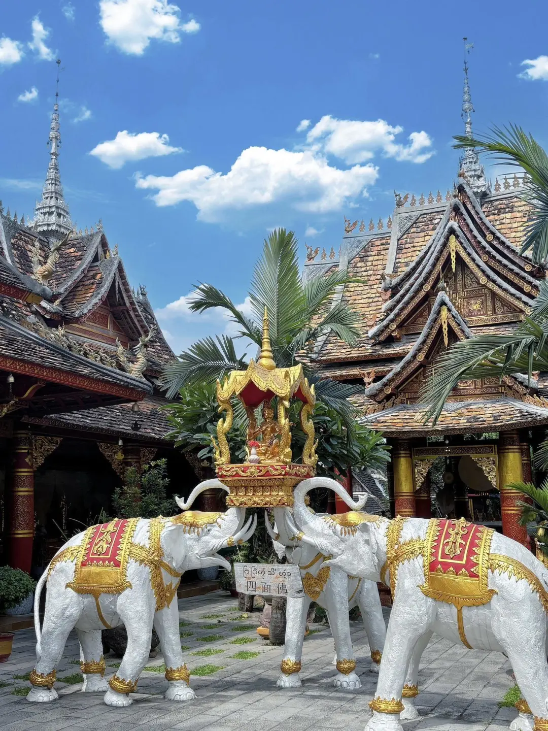 码住这份西双版纳各景点攻略！！