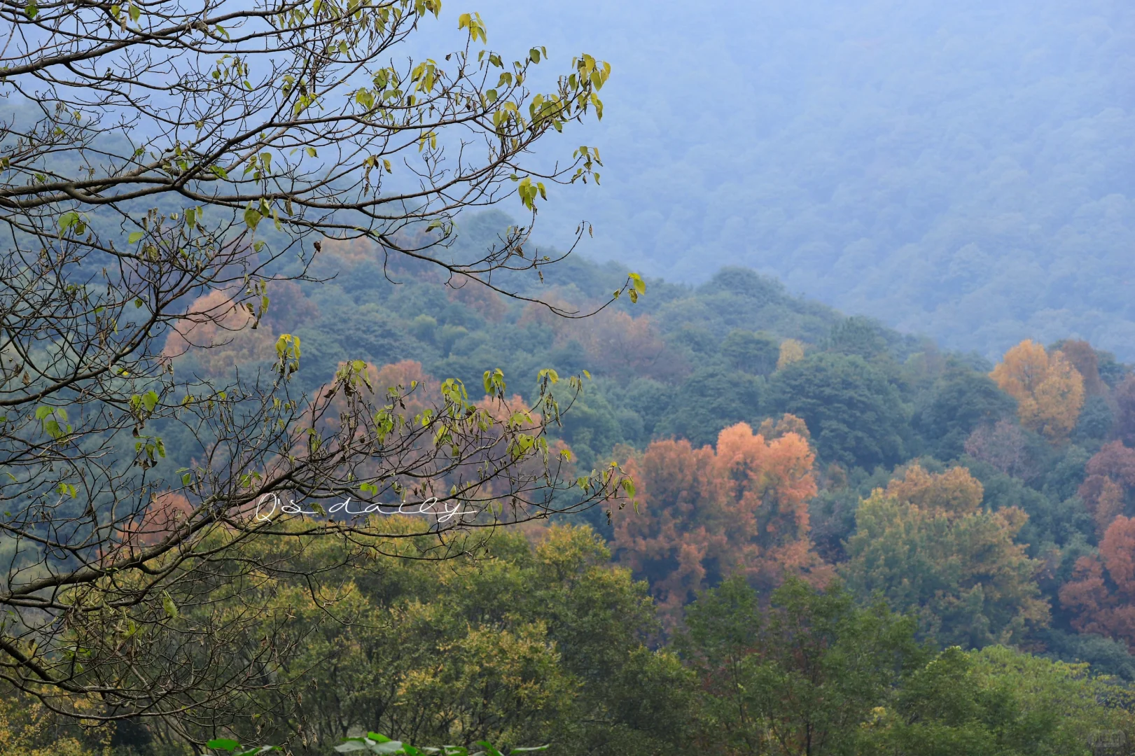 去往上天竺的神秘绝美之路