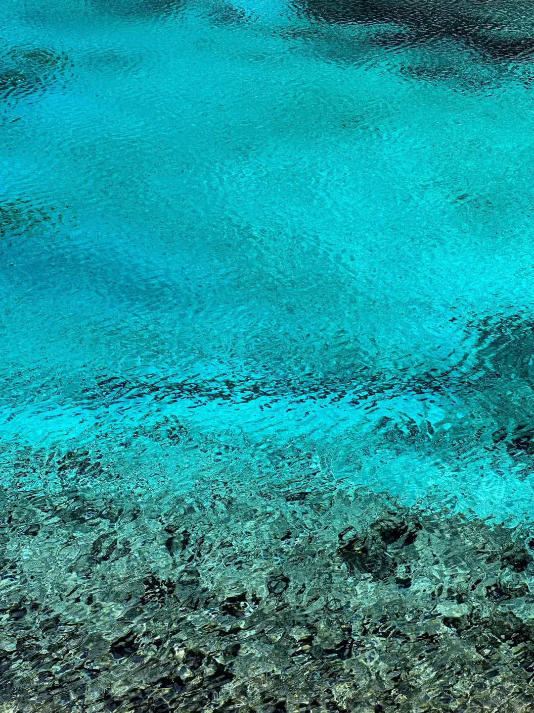 12.6📍已回九寨沟,看看现状,崩溃了😭