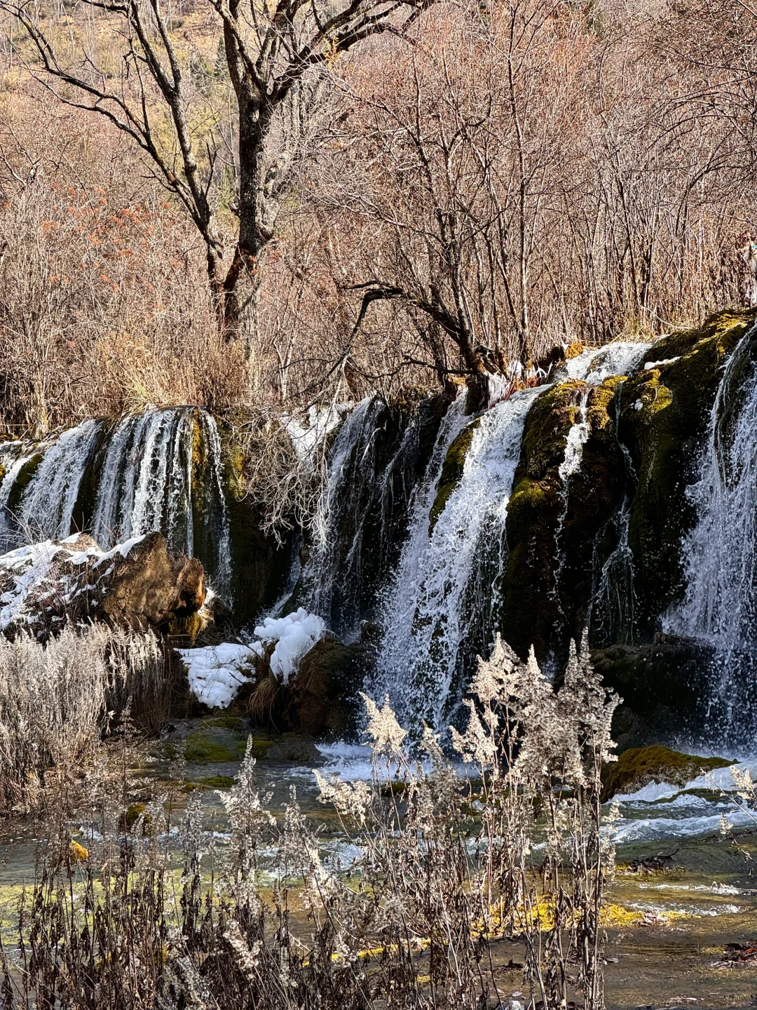 九寨沟｜两天一夜攻略（成都🚄出发
