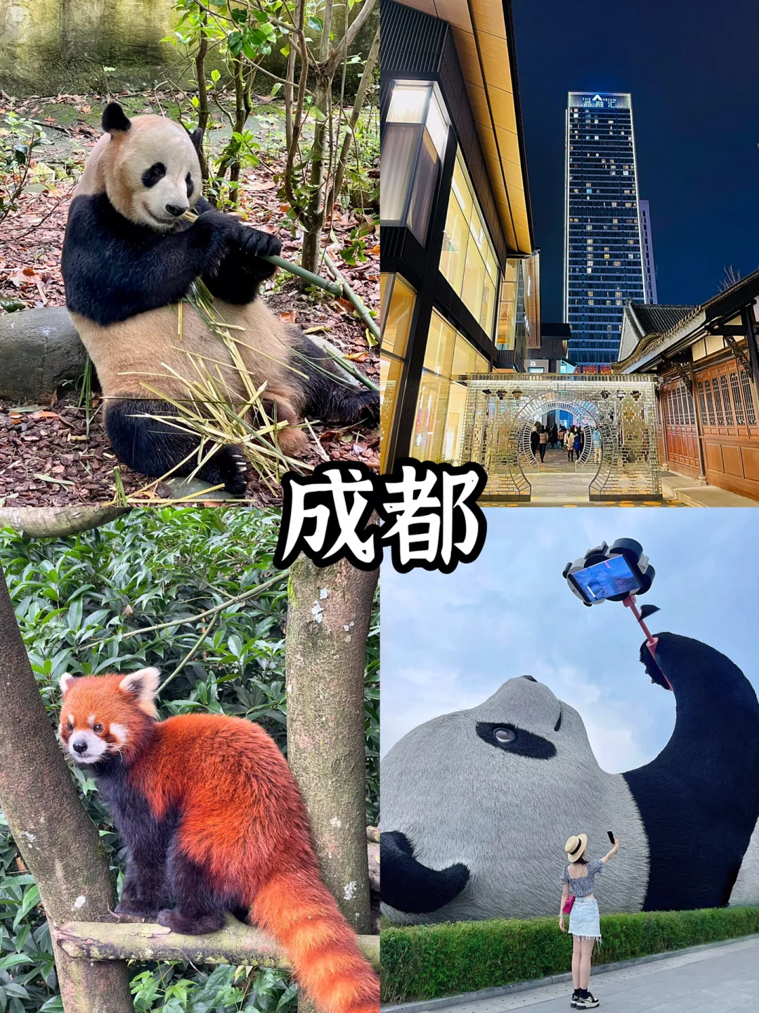 2025跨年去哪儿|国内z适合跨年的12个城市!