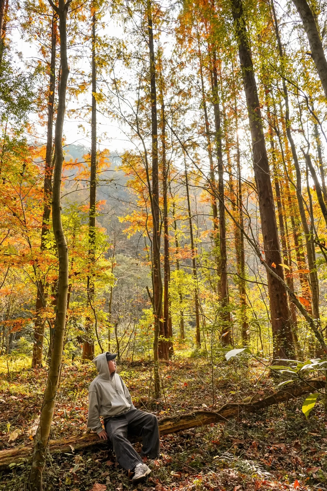 杭州一小时，99%人没去过的秋日古刹🍂