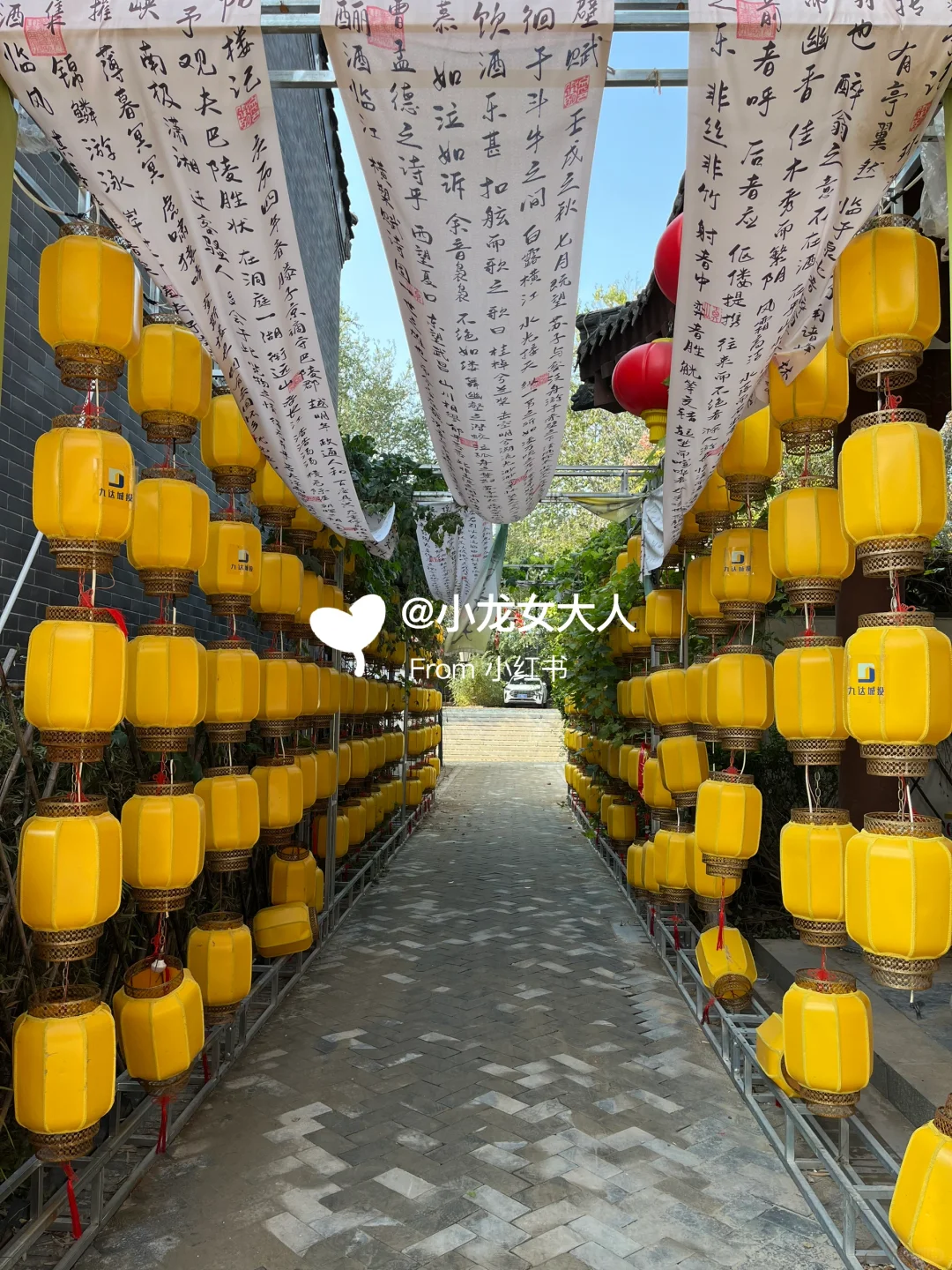 山东德州｜古运河景区｜拍照机位大全📷快收藏