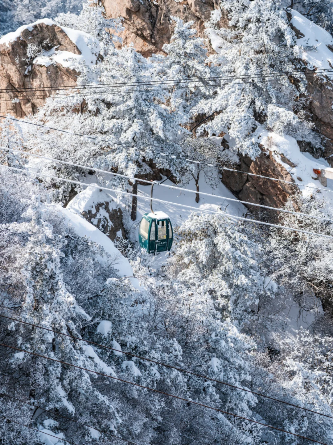 别急着冲!雪后的老君山,远胜下雪时的风光
