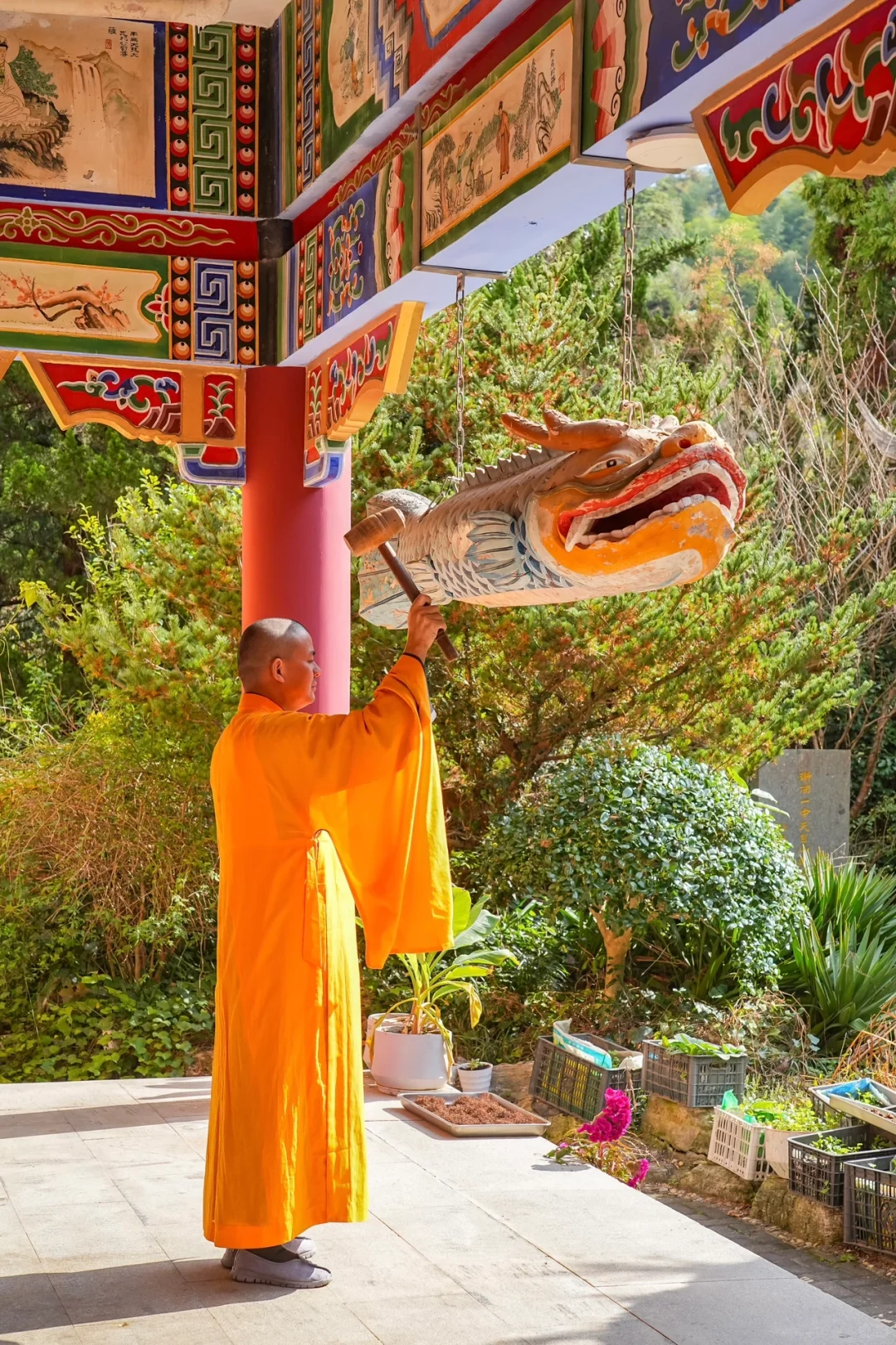 杭州一小时，99%人没去过的秋日古刹🍂