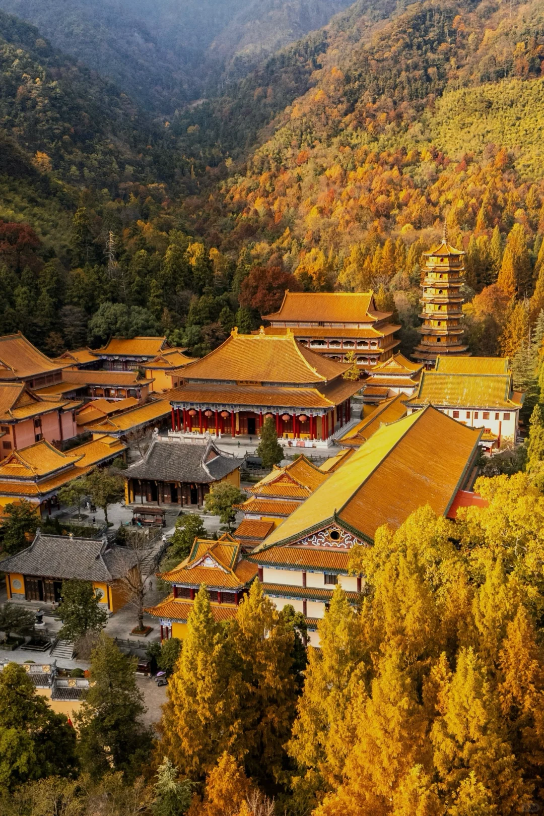 杭州一小时，99%人没去过的秋日古刹🍂