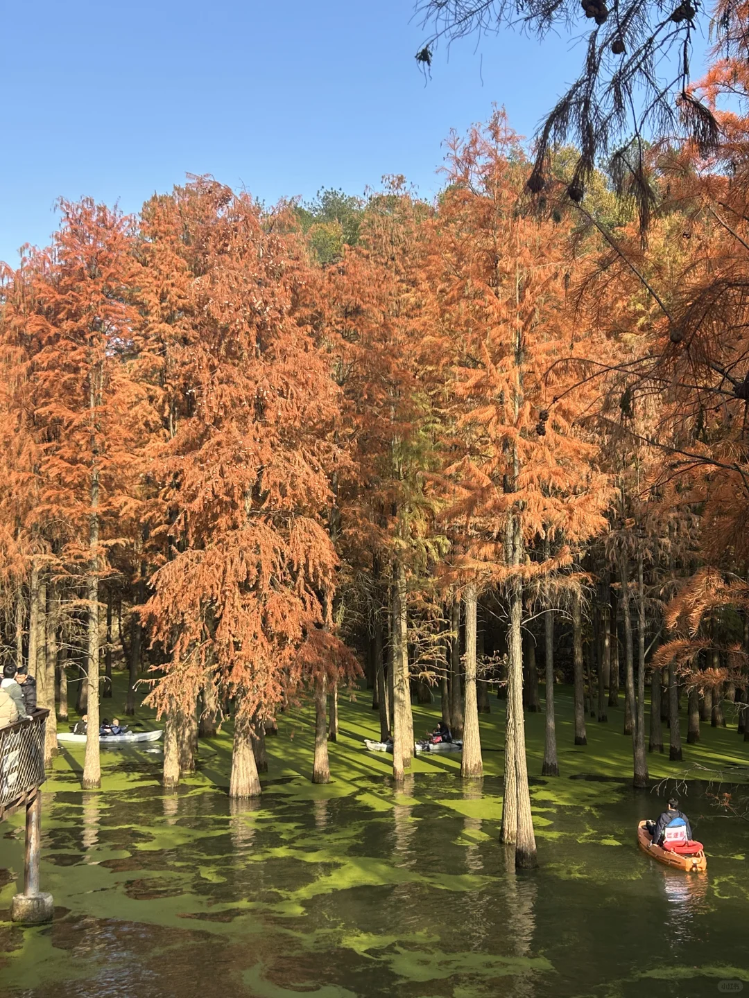 青山湖，原相机就能出片