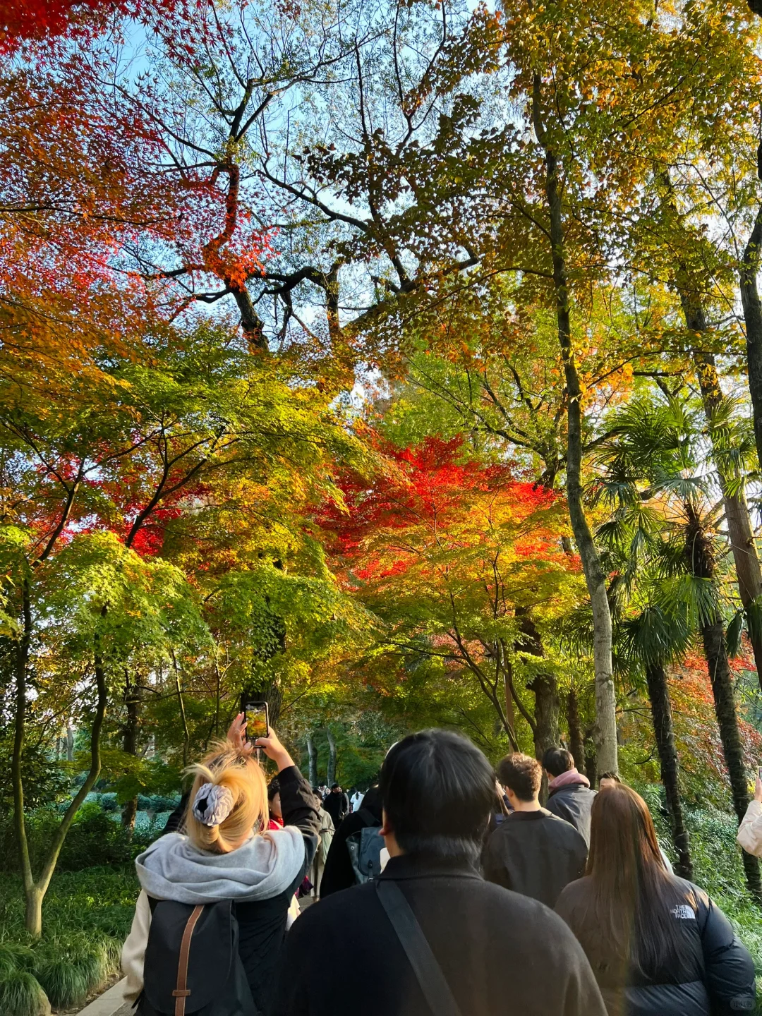 吐槽！九溪烟树的混乱实在配不上它的美！