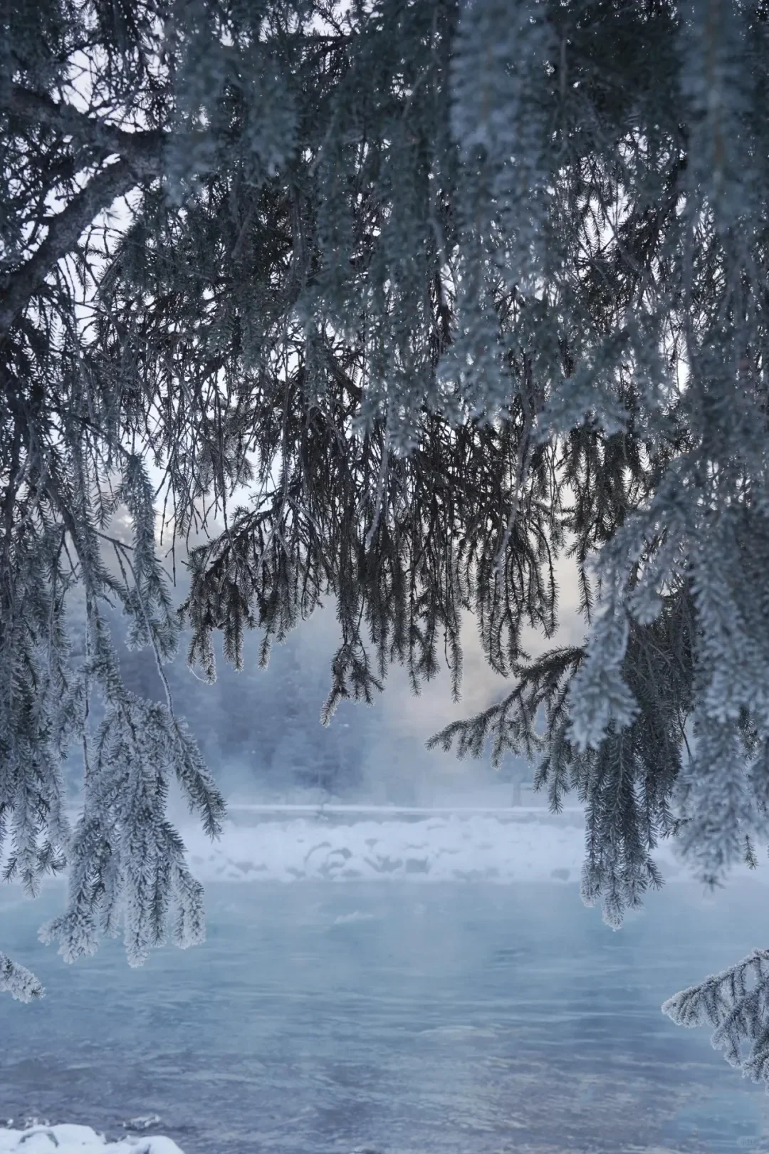 12.8📍实话难听，但这就是喀纳斯现状